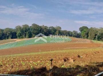 Terreno · 81335m² · Residencial › Lote/Terreno em