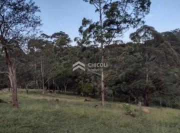 Terreno · 10500m² · Residencial › Lote/Terreno em