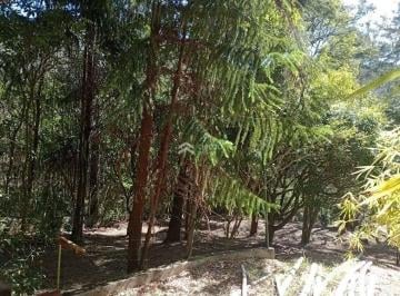 Terreno · 2116m² · Residencial › Lote/Terreno em