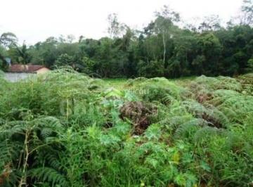 Terreno · 1200m² · Residencial › Lote/Terreno em
