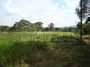 Terreno · 56500m² · Residencial › Lote/Terreno em