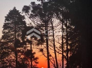 Rural · 7800m² · 6 Quartos · 10 Vagas · CH0322 - Chácara - com 6 quartos, à Venda, Jardim Cardoso (Mailasqui) - São Roque