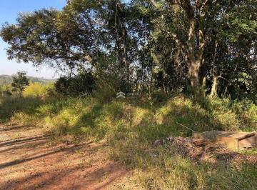 Terreno · 3825m² · Residencial › Lote/Terreno em