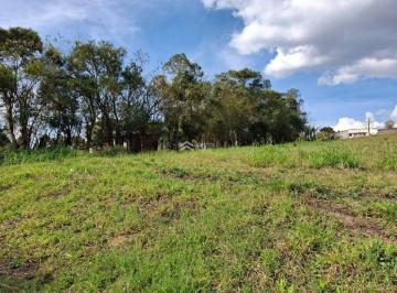 Terreno · 10000m² · Residencial › Lote/Terreno em