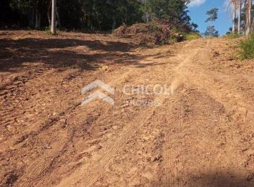 Comercial · 68m² · TE794 São Roque