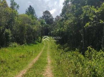 Terreno · 266000m² · Chácara Rincão Cotia 266.000,00 (M²)
