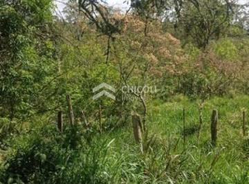 Terreno · 22000m² · Residencial › Lote/Terreno em