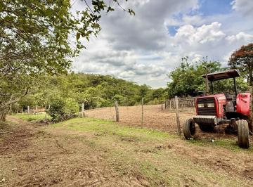 202511241930395292.jpeg · OPORTUNIDADE - Explore a Vida no Campo na Fazenda Santa Rita!