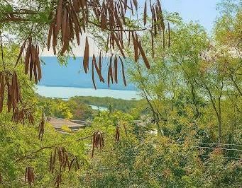 97c5b2b7f5a8f993aa810c13a05795fff19a7c2b · Terreno à venda, 450 m² por R$ 320.000,00 - Piratininga - Niterói/RJ