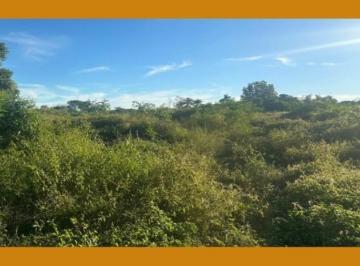 Terreno · 50% DA ÁREA N°6, SITUADA NO LUGAR DENOMINADO FAZENDA BARRA DA ONÇA, NO MUNICIPIO DE GOVERNADOR VALAD