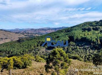 5544084f8e2b5a0ca0be5c462553db4e4b13bd2f · Fazenda  à venda, 300 ha. por R$ 33.450.000 - Coxilha Rica - Lages/SC