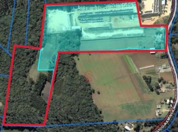 Foto 09 · Oportunidade Única: Terreno Industrial de 102.011 m² na Cidade Industrial de Curitiba-PR