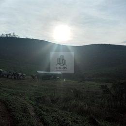 Rural · 150m² · 4 Quartos · 5 Vagas · Fazenda com 209 Hectares em Valadares - Juiz de Fora - MG - 02.