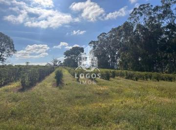 Rural · 450m² · 3 Quartos · 5 Vagas · Excelente Fazenda de Café com 55 Alqueires Paulista - São Sebastião do Paraíso - MG - 02.