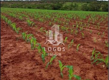 Rural · 190m² · 3 Quartos · 5 Vagas · Ótima fazenda com 244 hectares em João Pinheiro - MG - 02.