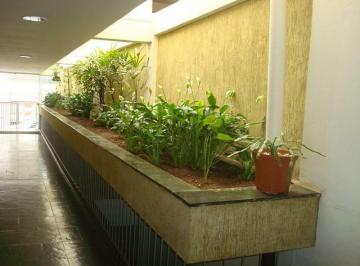 b4c9f5f26039f9185bdd03762a71a0027bff0b62 · Kitnet com 1 dormitório à venda por R$ 190.000,00 - Centro - Campinas/SP