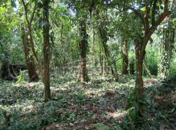 Imagem do Imóvel · Ubatuba, Horto Florestal, terreno 1.790 m², oportunidade, próximo da rodovia