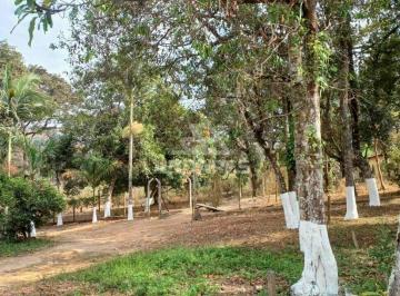 1000266581.jpg · SÍTIO À VENDA DE - 20.000 m² NO CAPIM RASTEIRO (CONTAGEM)