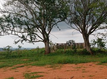Foto 01 · Sítio com 12 Alqueires ótimo para criação de gado... 7 km d Asfalto, 28 km d ANGATUBA, não tem casa