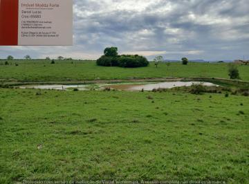 Rural , Bofete · Faz.54 alq. na região da castelo lavoura e pecuaria