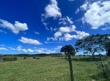Foto 18 · FAZENDA PRODUTIVA COM 52 ALQUEIRES EM ARARUAMA A VENDA