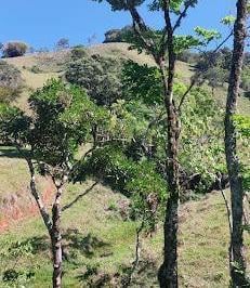 a1738a693ede986734171689e9932c0be4531550 · Terreno à venda, 63.000 m² por R$ 470.000 - Cambuí - Cambuí/MG