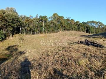 Rural · 20000m² · Área à venda no bairro Centro - São Pedro de Alcântara/SC