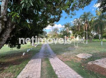 d95ecf69-a80d-42bf-8cea-008d2fa15d86.webp · CHÁCARA À VENDA – PONTE ALTA / NÚCLEO RURAL CASA GRANDE/MONJOLO – DF