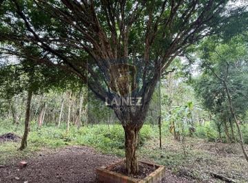 Terreno · 2200m² · Lote / Terreno em Centro - São Lourenço da Serra