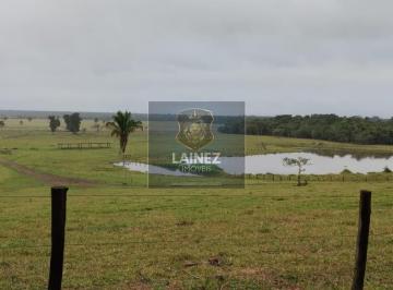 Rural · 6534000m² · 3 Quartos · Fazenda em Centro - Iguape