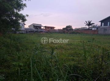 WhatsApp Image 2025-11-24 at 19.07.16.jpeg · Terreno, 522 m², em Centro