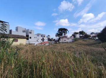 Terreno · 455m² · Excelente Terreno ZR2 de 455m² no bairro Uberaba –