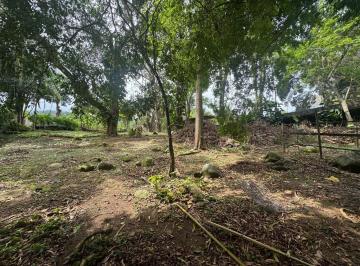 202511261318165575.jpeg · Sítio para Venda em Rio de Janeiro, Vargem Grande