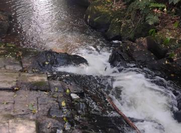 Terreno , Juquitiba · TERRENO NA CACHOEIRA DO FRANÇA COD: 5887 F:(11) 97302-9229 CESAR