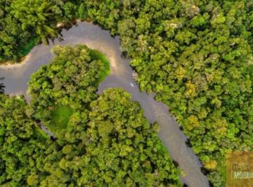 Foto 01 · Oportunidade única! Área de 116.600 hectares à venda em Ipixuna-AM, ideal para projetos ambientais e