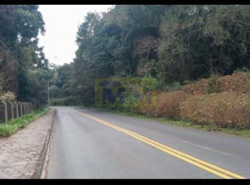 Terreno · 66000m² · Oportunidade Exclusiva para Investidores e Moradia  – Campo Largo/PR