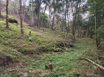Rural · 25592m² · Chácaras a partir de 20.000 m² em Campo Largo – Pa