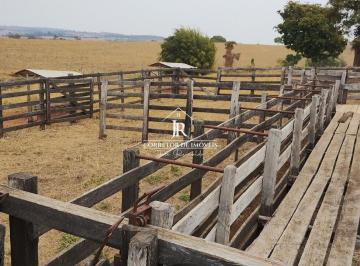 i1.jpg · Fazenda produtiva de 27 alqueires - Alfenas MG