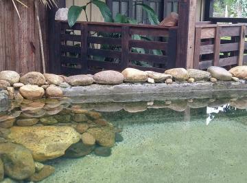 Rural de 3 quartos, Morretes · Chácara com 3 quartos, 16.000 m², por R$ 385.000- Rio Sagrado - Morretes/PR