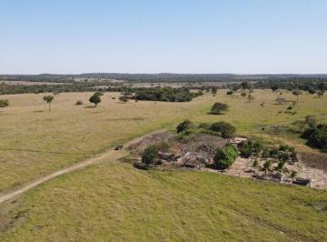 Rural · 20000ha · Área em Feijo