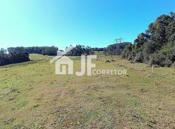 IMG_20250625_134003.jpg · Sítio 34 Hectares à Venda em Portão/RS – Acesso Asfaltado e Localização estrada para Nova Santa Rita