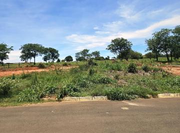 202511271421414263.jpg · Terreno para Venda em Ibirá, Parque Aroeira