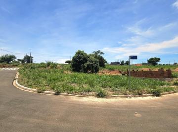 202511271435158706.jpg · Terreno para Venda em Ibirá, Parque Aroeira