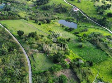Terreno , Chã Grande · Área à venda com 3 Hectares em Chã Grande/PE!  