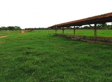 f4c78536ac1d0cc9fe15eaf3517f1011.jpeg · Fazenda / Sítios / Chácaras à venda em Morro Da Garça, no bairro Zona Rural