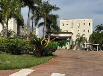 8ca016239f1590282bc93f0a643346aef1cb696d · Apartamento com 3 dormitórios à venda, 70 m² por R$ 195.000 - Residencial Rio das Flores - São José 