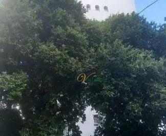 0a17b42a27299309f910c8c37e265262464a14c2 · Apartamento com 4 dormitórios à venda, 280 m² por R$ 550.000,00 - Vila Bom Jesus - São José do Rio P