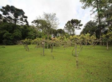 fbc0f1d6680dfdf4a02c4f09ce60f10c9d71b133 · Terreno à venda, 30357 m² por R$ 4.500.000,00 - Vila Franca - Piraquara/PR