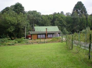 1febbfeed179f24031ea4a72f1a8c09dc391d55f · Chácara à venda, Colonia Lima, Mandirituba PR