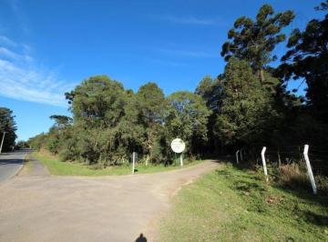 1a83fdebf34bf3466d3341f561cfca6ade751da2 · Chácara à venda, 2510 m² por R$ 650.000 - Campininha - Quatro Barras/PR